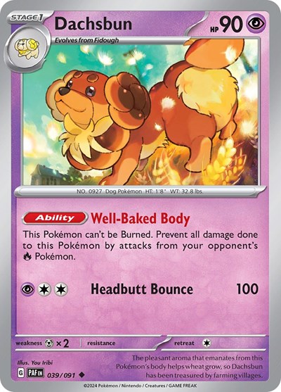 Dachsbun, SV: Paldean Fates