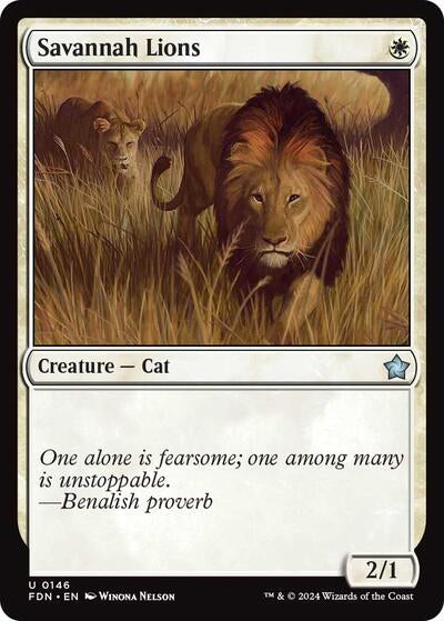 Savannah Lions, Foundations