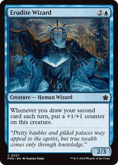 Erudite Wizard, Foundations