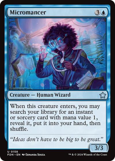 Micromancer, Foundations