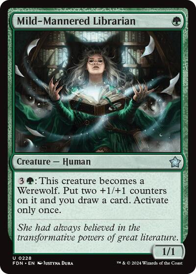 Mild-Mannered Librarian, Foundations