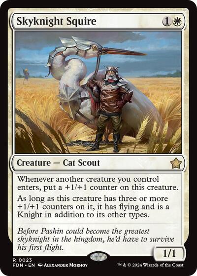 Skyknight Squire, Foundations