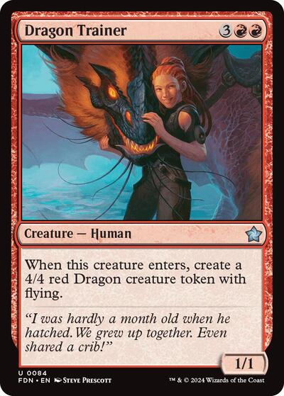 Dragon Trainer, Foundations