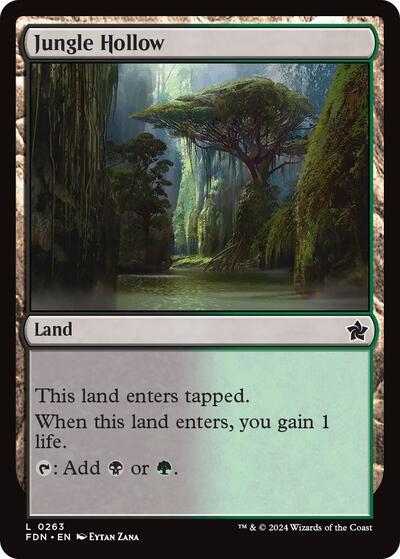 Jungle Hollow, Foundations