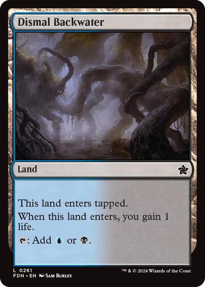 Dismal Backwater, Foundations