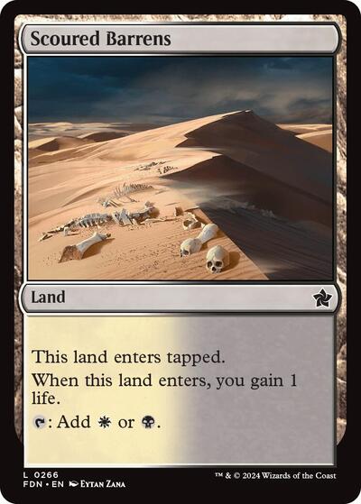 Scoured Barrens, Foundations