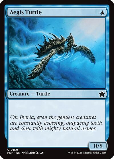 Aegis Turtle, Foundations