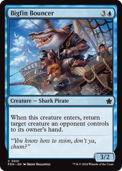 Bigfin Bouncer, Foundations