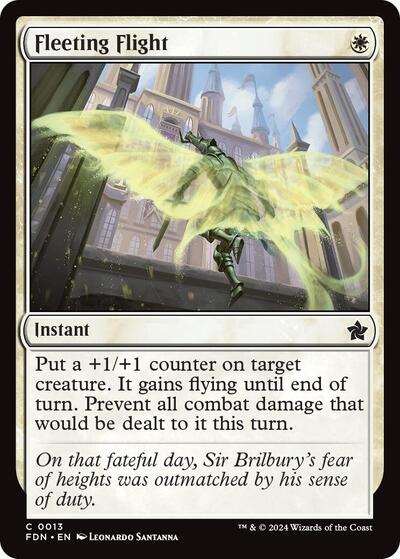 Fleeting Flight, Foundations