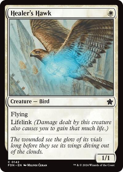 Healer's Hawk (0142), Foundations