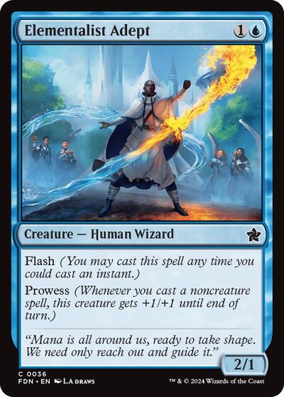 Elementalist Adept, Foundations