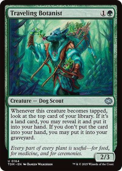 Traveling Botanist, Tarkir: Dragonstorm