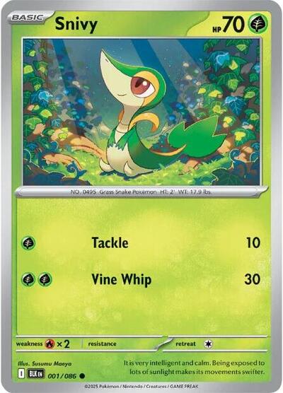 Snivy, SV: Black Bolt