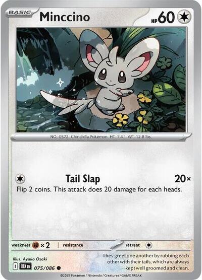 Minccino, SV: Black Bolt