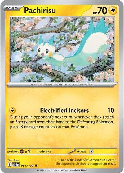 Pachirisu, ME01: Mega Evolution