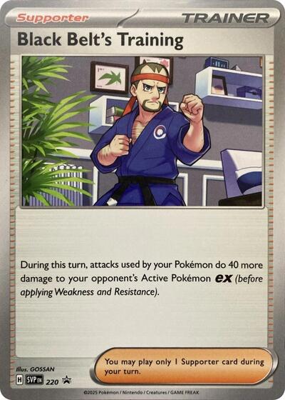 Black Belt's Training - 220, SV: Scarlet & Violet Promo Cards