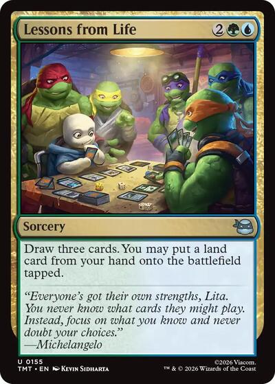 Lessons from Life, Teenage Mutant Ninja Turtles
