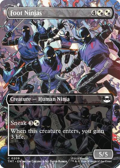 Foot Ninjas (Borderless), Teenage Mutant Ninja Turtles