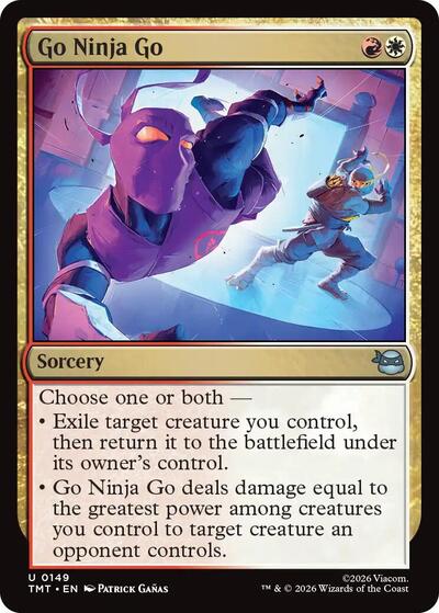 Go Ninja Go, Teenage Mutant Ninja Turtles