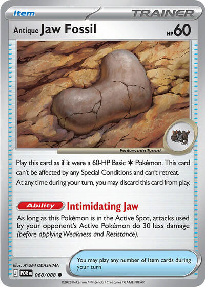 Antique Jaw Fossil, ME03: Perfect Order