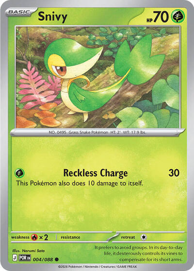Snivy, ME03: Perfect Order